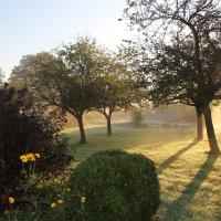 Jardin au lever du soleil